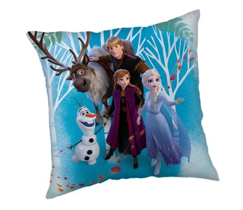 Disney Frozen Family pillow, decorative cushion 40x40 cm