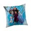 Disney Frozen Family pillow, decorative pillow 40x40 cm