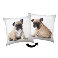 Dog Bulldog decorative pillow 40x40 cm