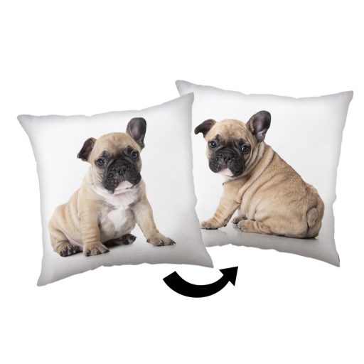 Dog Bulldog decorative pillow 40x40 cm