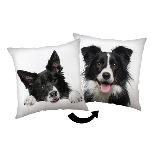 Dog Border Collie decorative pillow 40x40 cm