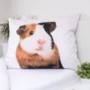 Animals Guinea Pig Bedding Set 140x200cm, 70x90 cm