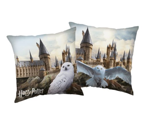 Harry Potter Hedwig at Hogwarts cushion, decorative pillow 40x40 cm