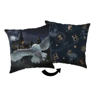 Harry Potter Hogwarts Night decorative pillow 40x40 cm