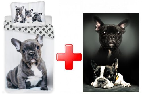Dog Bed Linen and polar blanket set