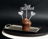 Just married Silver cake decoration 5 pieces