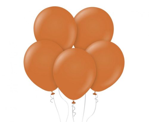 Colour Pastel Caramel balloon, 10 pcs 12 inch (30 cm)