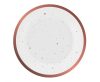 Colour Rose Gold Celebrate Pink Paper Plate 6 pcs 18 cm