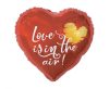 Love Love Is In The Air foil balloon 37 cm