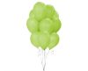 Green Pistachio air-balloon, balloon 10 pieces 10 inch (26 cm)