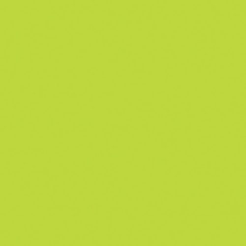Colour Maki Green napkin 20-pack 33x33 cm