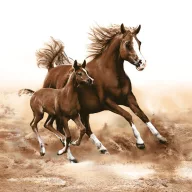 Horses Mare with Foal napkin 20 pcs 33x33 cm