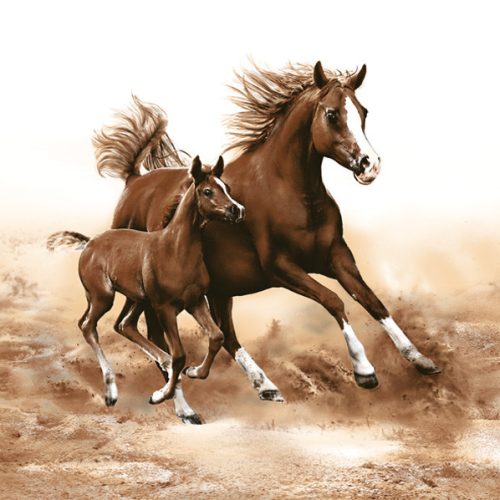 Horses Mare with Foal napkin 20 pcs 33x33 cm