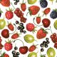 Fruits Summer Fruits napkin pack of 20 33x33 cm
