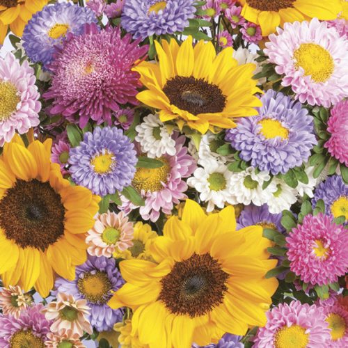 Flower Colourful Summer napkin 20 pcs 33x33 cm