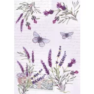   Colour Butterfly Lavender A/4 document folder with elastic band