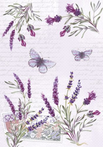 Colour Butterfly Lavender A/4 document folder with elastic band