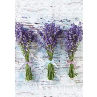 Colour Bouquet Lavender A/4 Elastic Folder