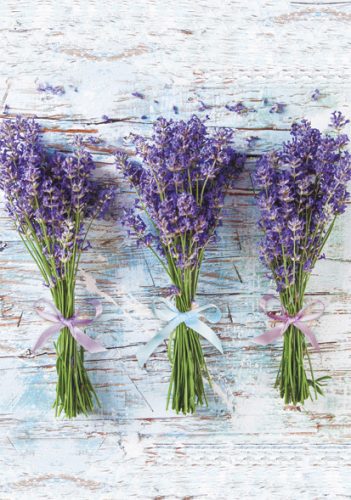 Colour Bouquet Lavender A/4 Elastic Folder