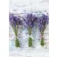 Colour Bouquet Lavender A/4 Elastic Folder