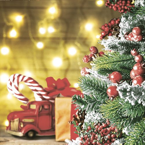 Christmas Cozy Scene napkins, pack of 20, 33x33 cm