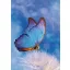 Butterfly Butterfly Nature A/4 elastic folder