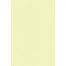 Colour White Dots Ecru paper tablecloth 120x180 cm