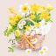Flower Spring Basket napkin 20 pieces 33x33 cm