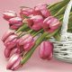 Flower Falling Tulip decorative napkin 20 pcs 33x33 cm