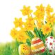 Easter Bunch of Daffodils napkin 20 pcs 33x33 cm