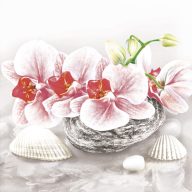 Flower Orchid on Stone napkin 20 pcs 33x33 cm