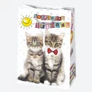 Happy Birthday Friends Happy Birthday paper gift bag 23x32x11 cm