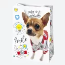 Happy Birthday Friends Happy Birthday paper gift bag 23x32x11 cm