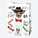 Happy Birthday Friends Happy Birthday paper gift bag 23x32x11 cm