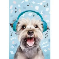 Dog Play Music A/4 elastic folder