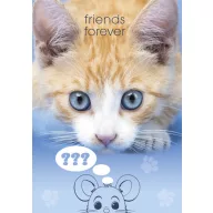 Cat Friends Forever A4 elastic folder