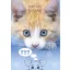 Cat Friends Forever A4 elastic folder