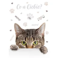 Cat Meow A/4 elastic folder