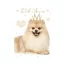 Dog Little Princess A4 elastic folder