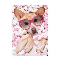 Dog Marshmallow A/4 elastic folder