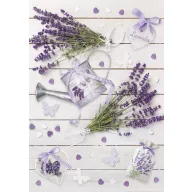 Colour Rustic Lavender A/4 elastic folder