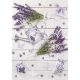 Colour Rustic Lavender A/4 elastic folder