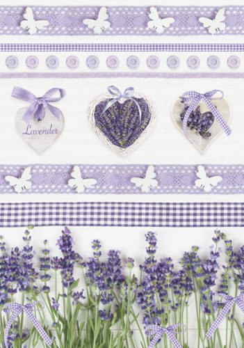 Colour Butterfly Lavender A/4 elastic folder