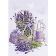 Colour Cage Lavender A/4 elastic folder