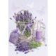 Colour Cage Lavender A/4 elastic folder