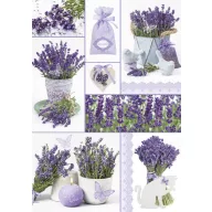Colour Moments Lavender A/4 elastic folder