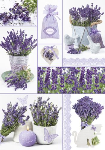 Colour Moments Lavender A/4 elastic folder