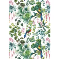 Colour Parrot Nature A/4 Elastic Folder