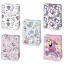 Colour Dreaming Girls' paper gift bag 29x40x12 cm