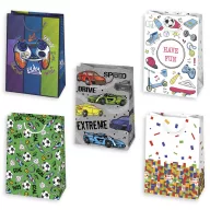 Colour Have Fun Boys' paper gift bag 29x40x12 cm